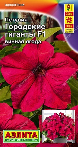Цветы Петуния Городские Гиганты F1 Винная ягода 7 шт ц/п Аэлита